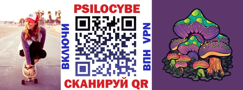 что такое наркотик  Черняховск  Псилоцибиновые грибы Psilocybe 